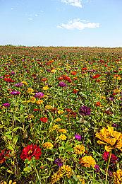 Steam版《机甲战魔》史低2折限时特卖中!